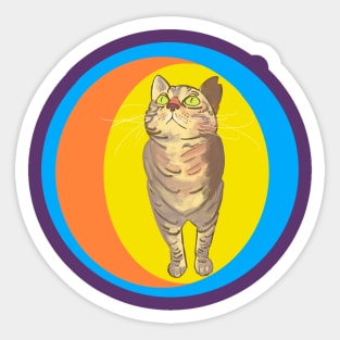 Happy Tabby Sticker